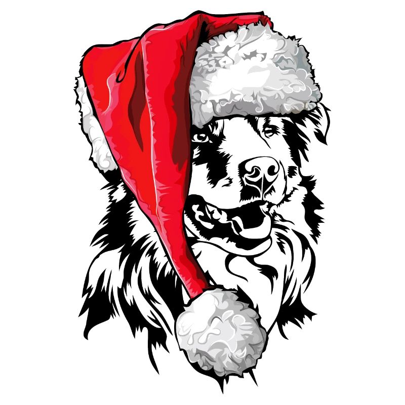 Santa Australian Shepherd Weihnachten Aussie Hunde