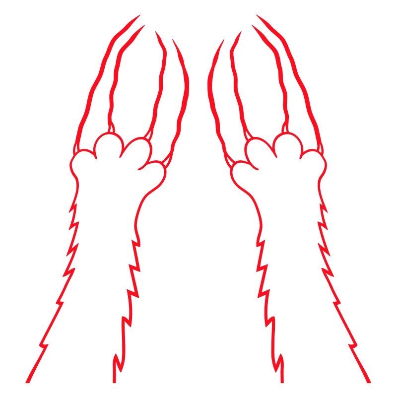 Chats, Griffes, Pattes, Pattes, Griffes, Griffures, Rayures
