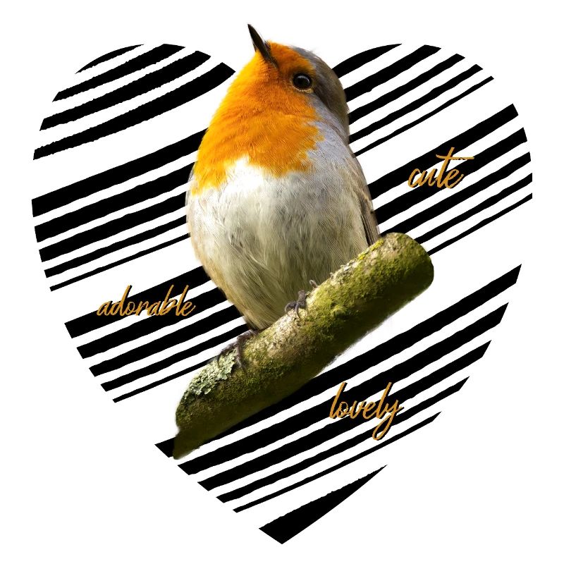 Rotkehlchen Singvogel