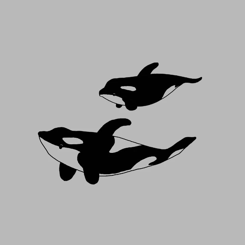 Orca Mutter mit Kind