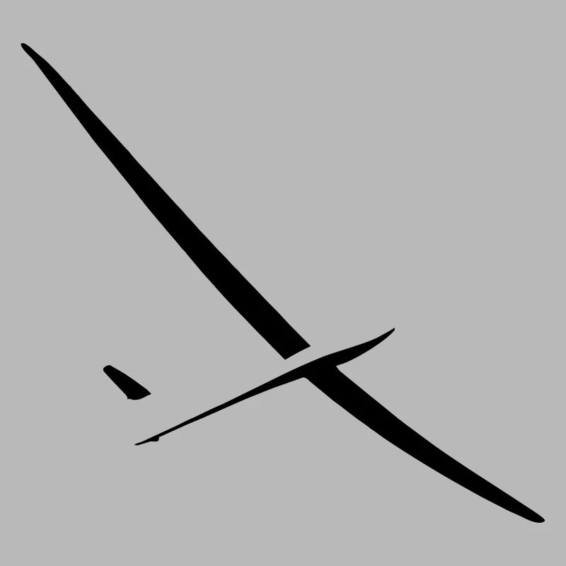 Glider Gliding Glider Glider Pilot Pilot