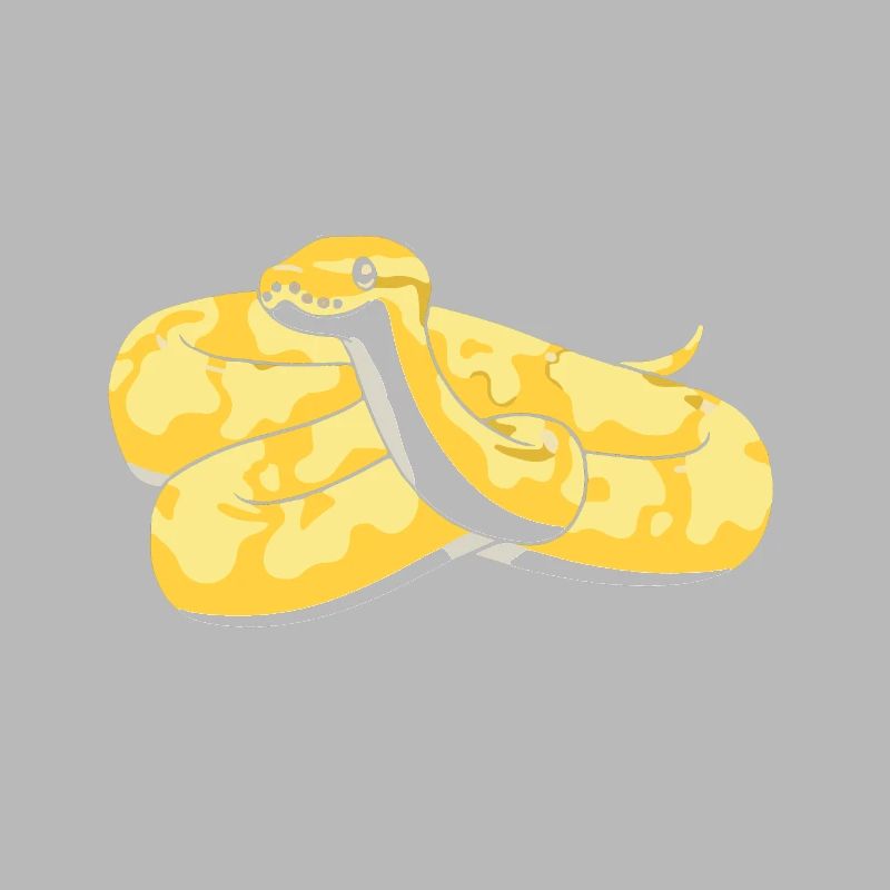 Banana Ball Python Ne touche pas mes couilles