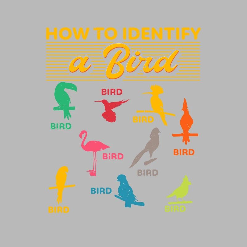 Comment identifier un oiseau d’observation