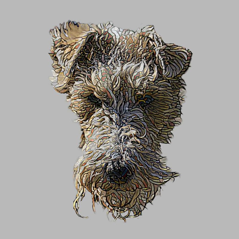 Visage de Fox Terrier