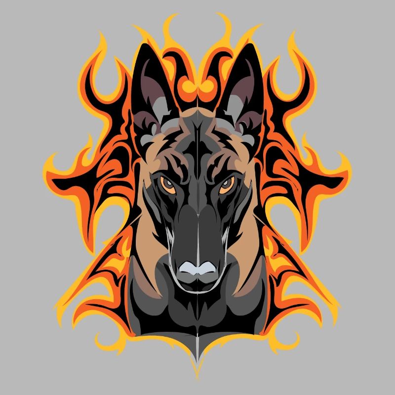 flash malinois