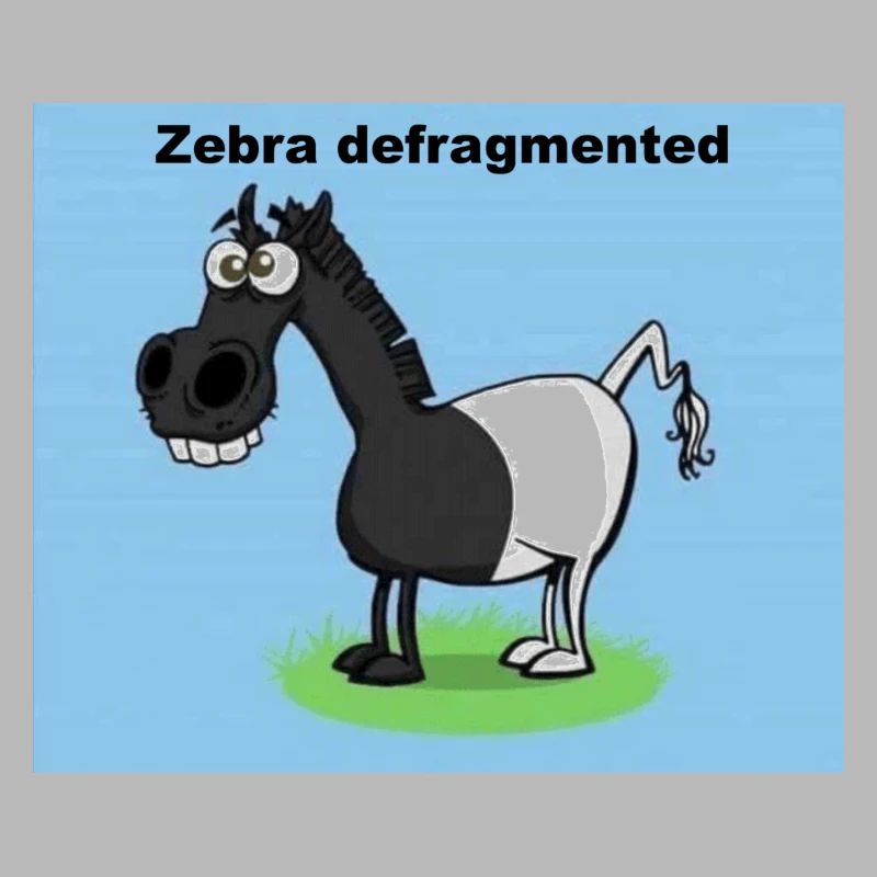 Zebra defragmented
