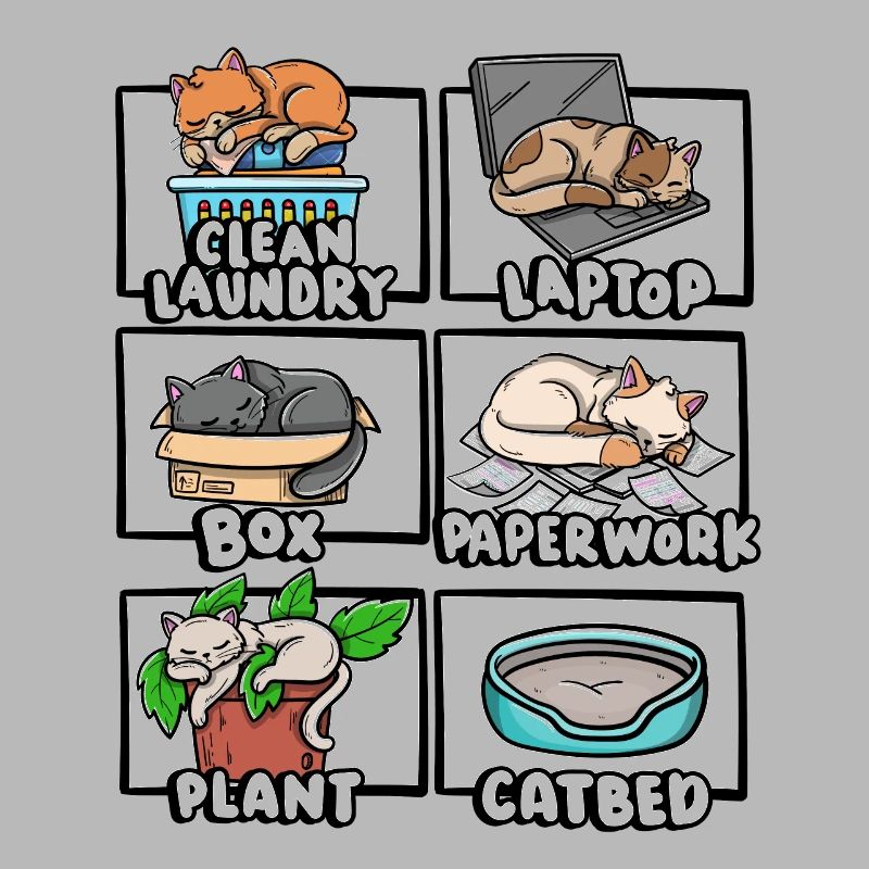 Clean Laundry Box Cat Bed Kitten Lover Sleepy