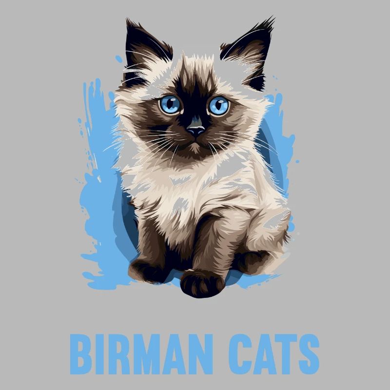 Birman Cat Birma Katze