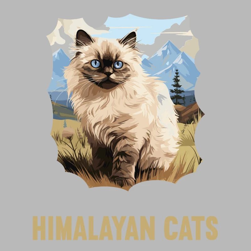 Chat de l’Himalaya Colourpoint Katze
