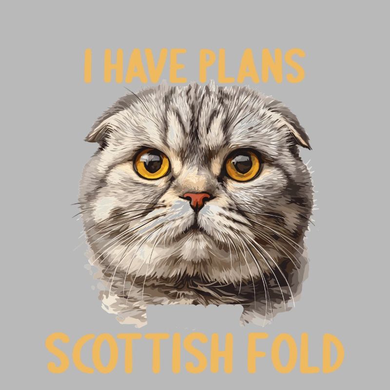 Scottish Fold Kitten Scottish Fold chat