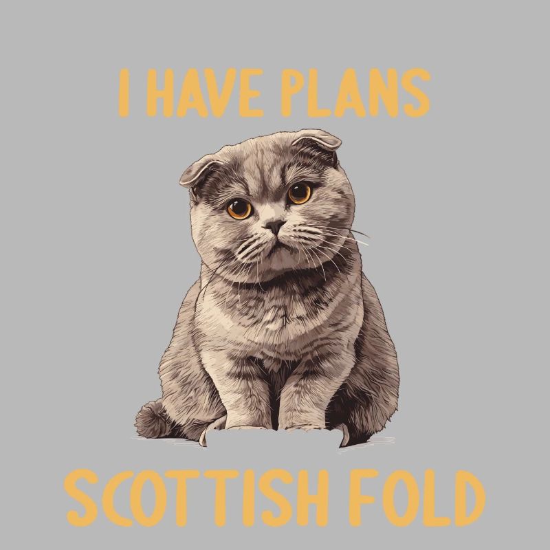Scottish Fold Kitten Scottish Fold chat