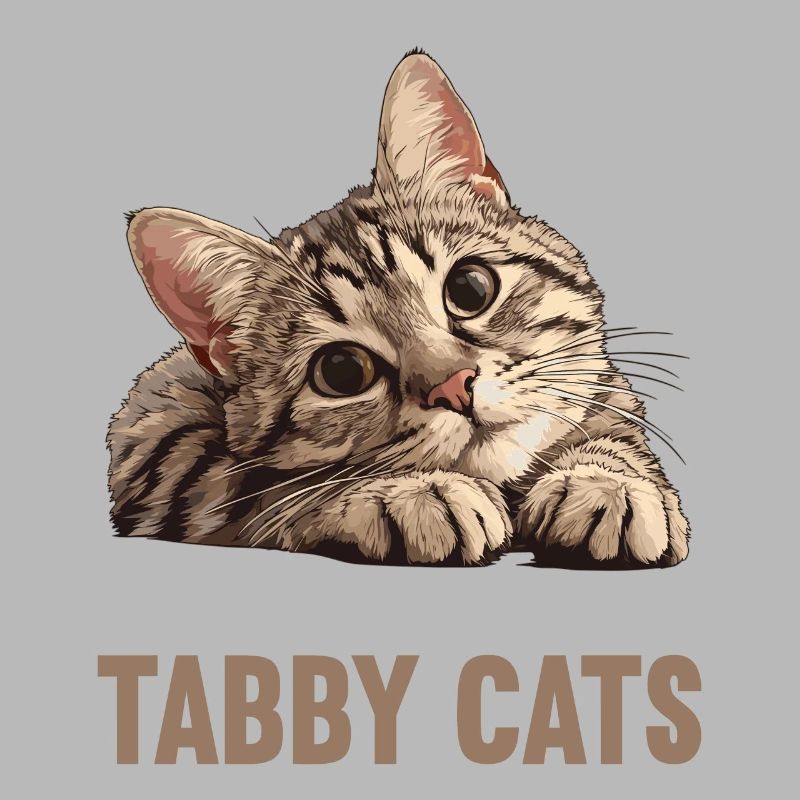 Tabby Kätzchen Tabby Katze