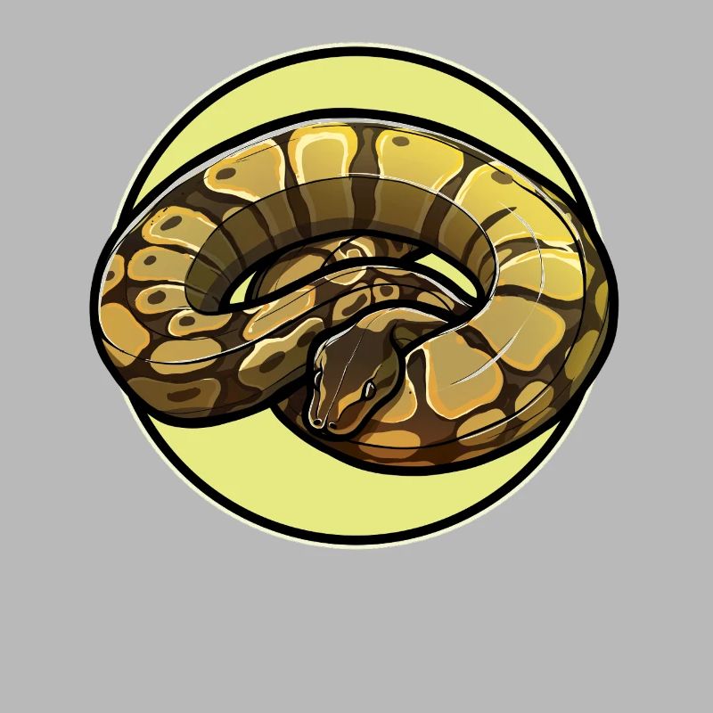 Ball Python Roi Python Roi Python