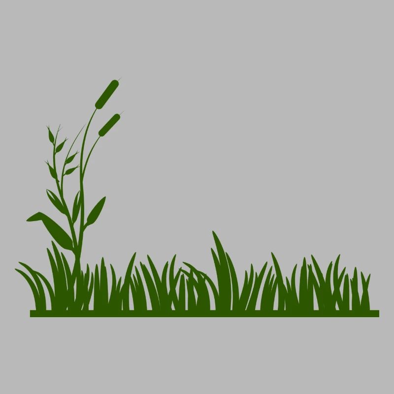 herbe