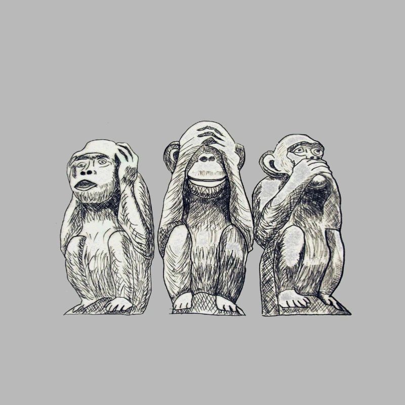monkey