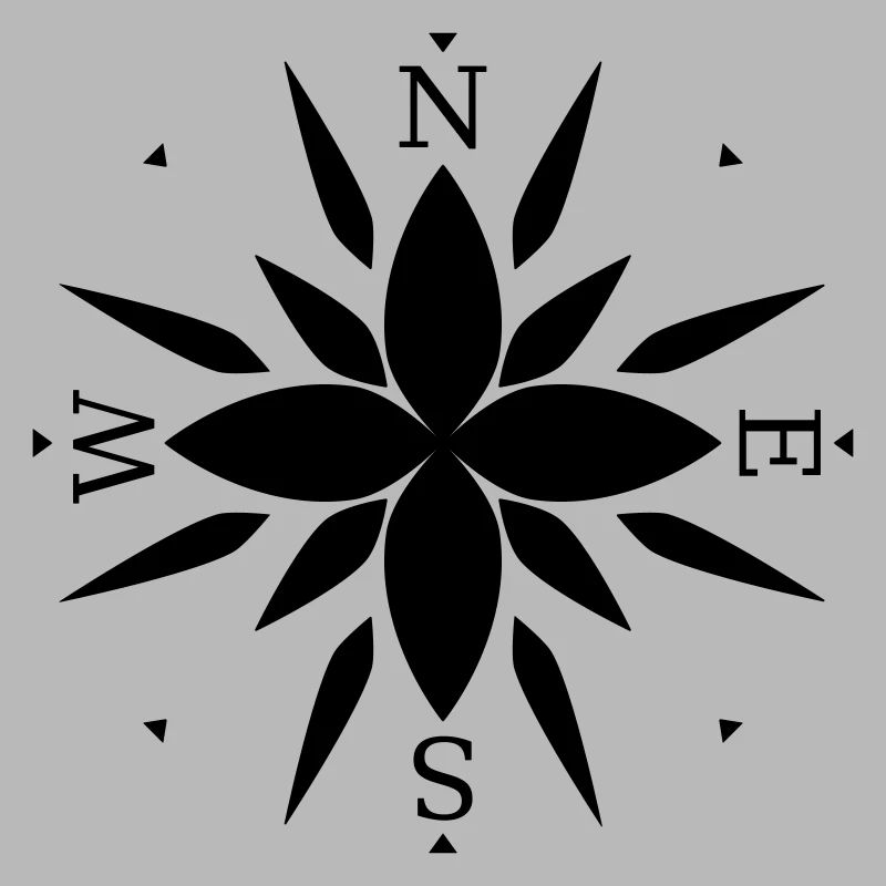 Compass with directions.