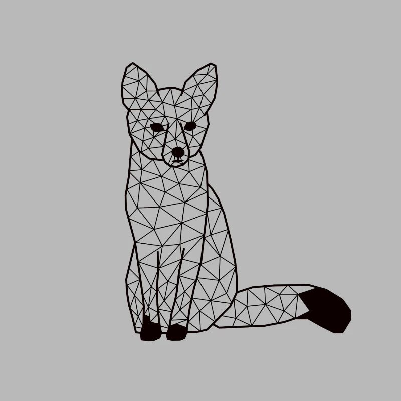 Foxx GeomeTRIX