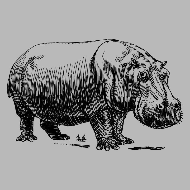 Nilpferd