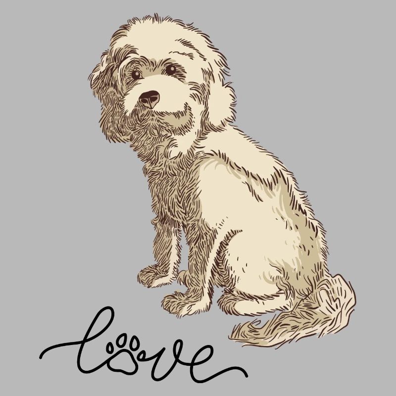 Cockapoo Cocker Spaniel Poodle Miniature Poodle dog love