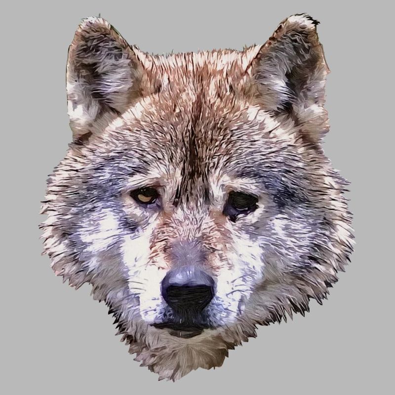 BERIX WOLF Head