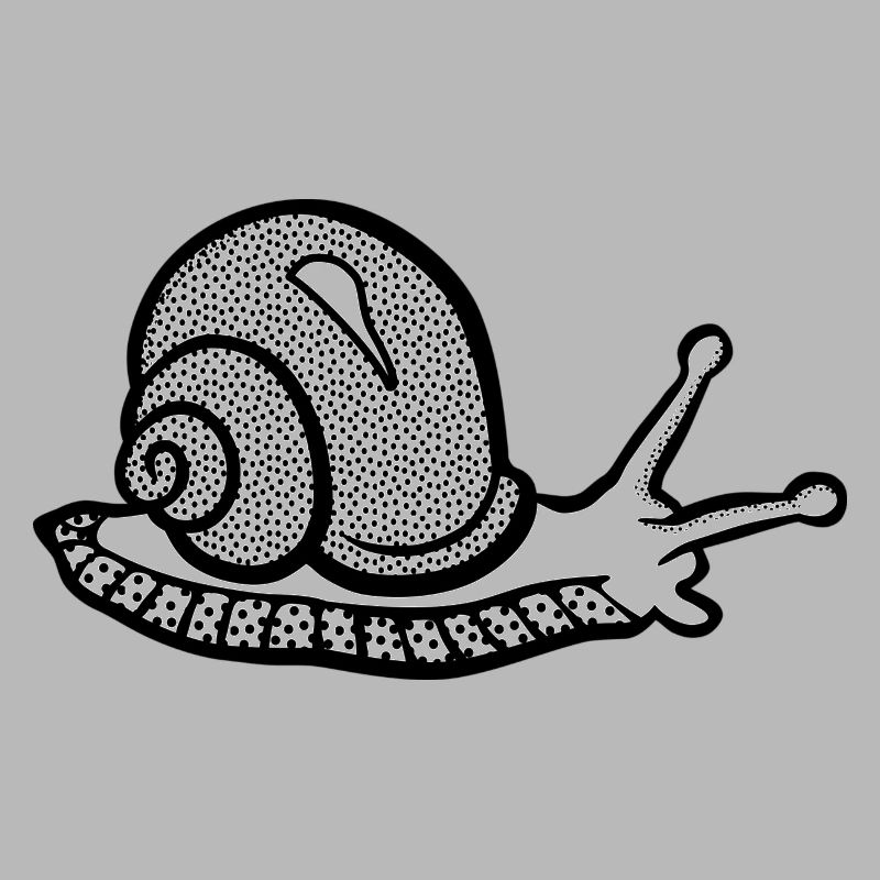 Snail noir et withe