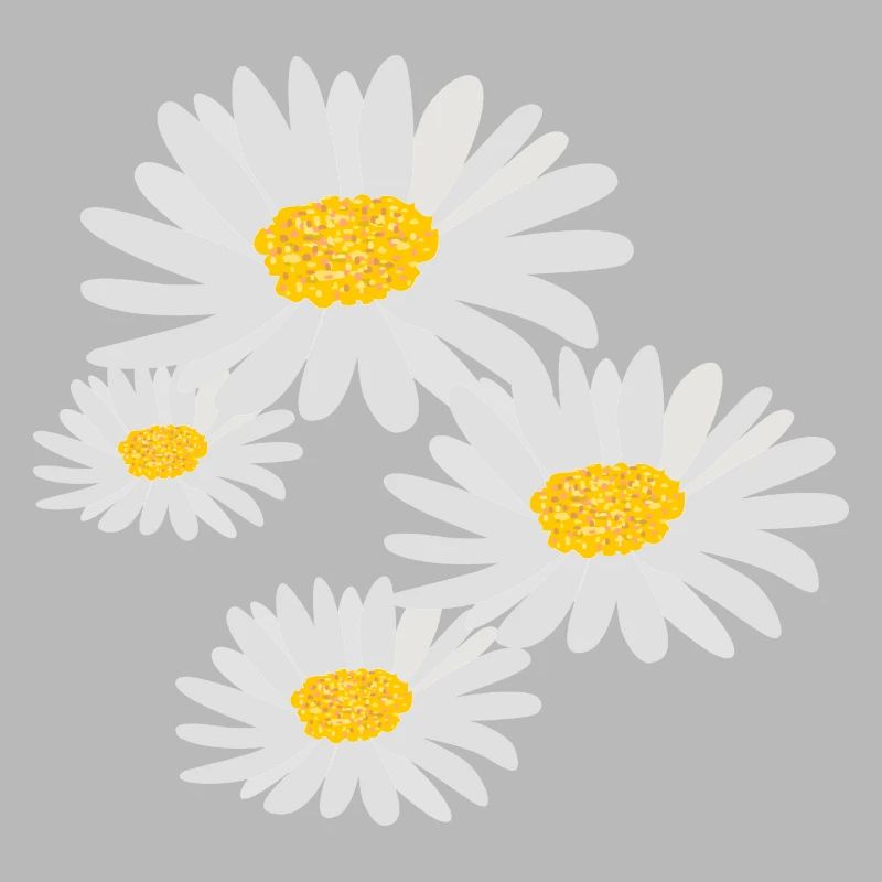 Blume Gänseblümchen