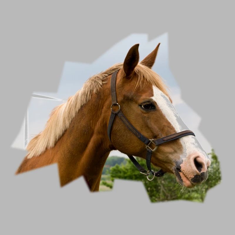 Cheval. Cheval.