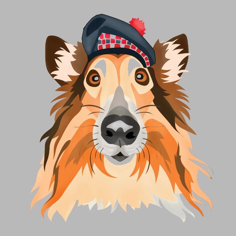 Scottish collie