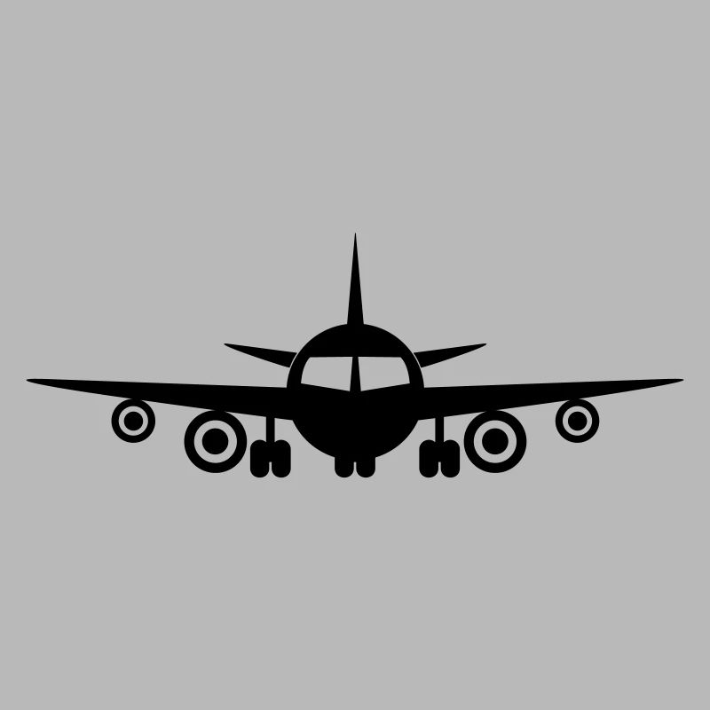Fly a plane