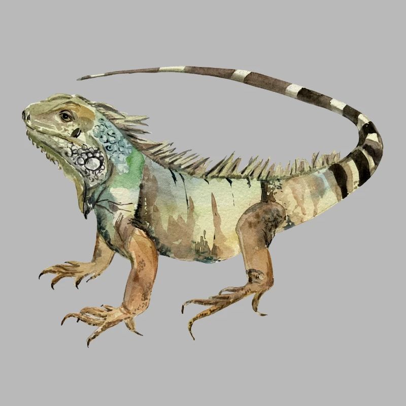 Leguan