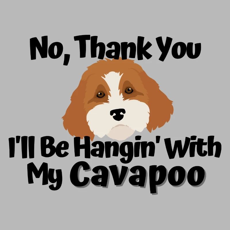 Hanging With My Cavapoo