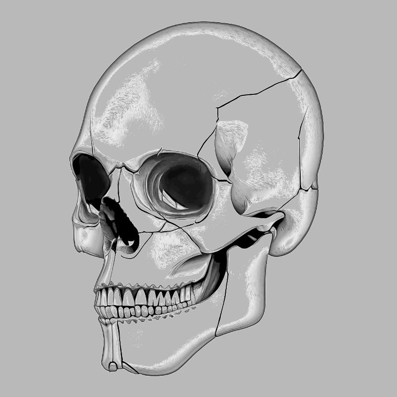 Skull Skull Side Graphic