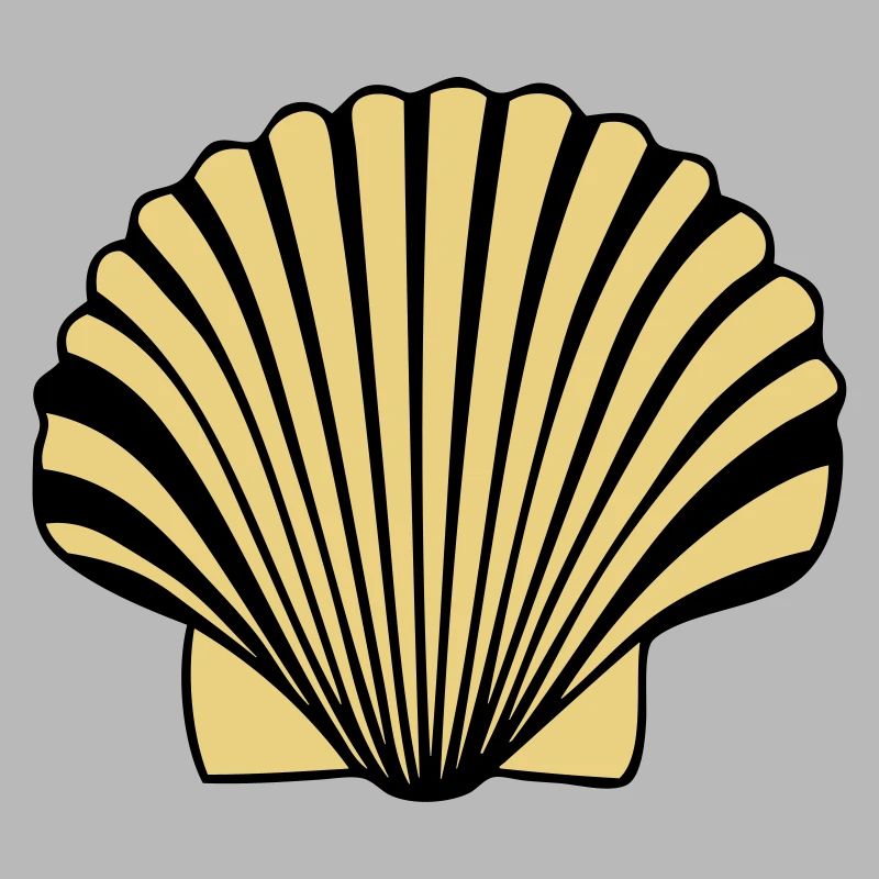coquille saint jaques coquillage de Compostelle