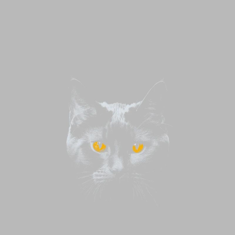 Chat noir mignon avec éclipse solaire totale 2024