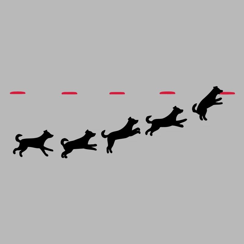 Frisbee dog