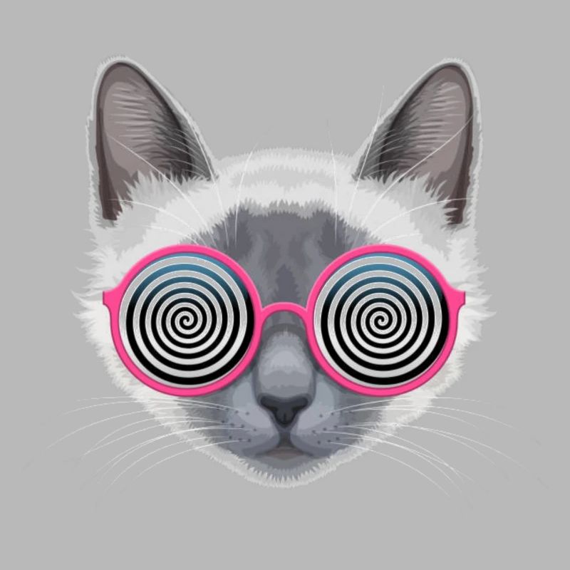 Chat hypnotique