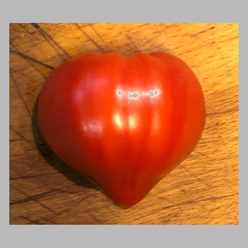 tomate