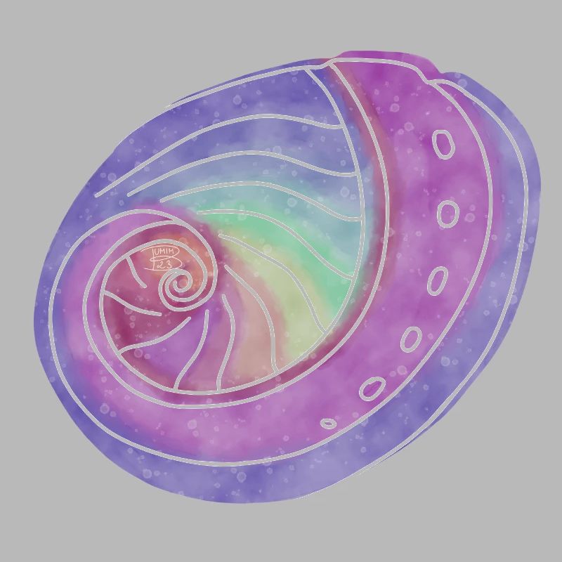 "Abalone", Boho Line Art Design, Serie "Shells"