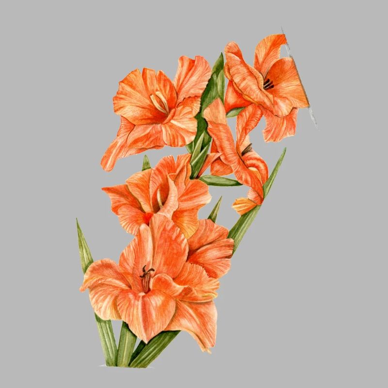 Fleurs
