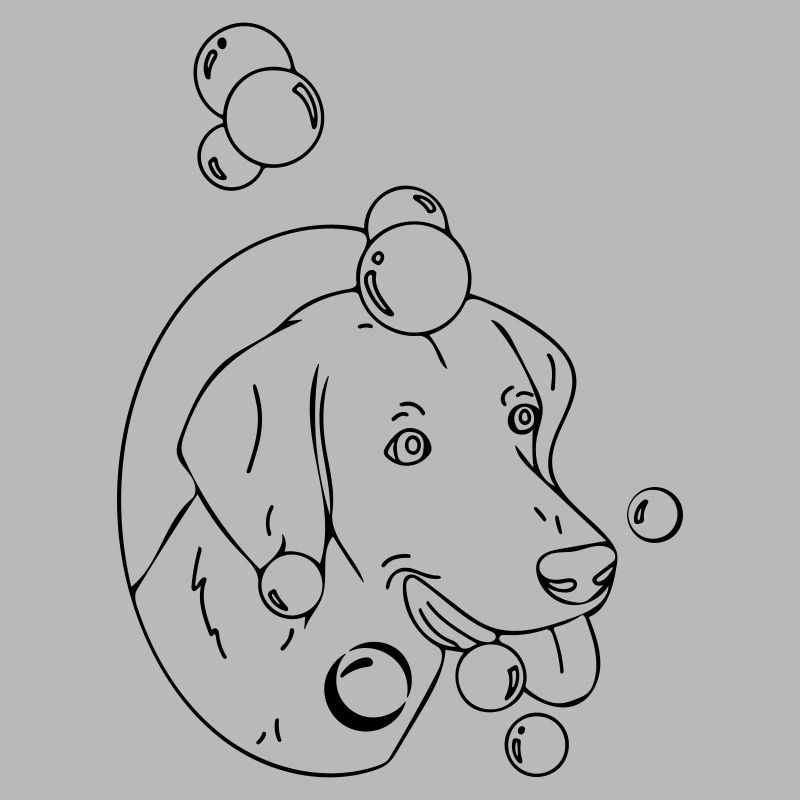 eau pour chien