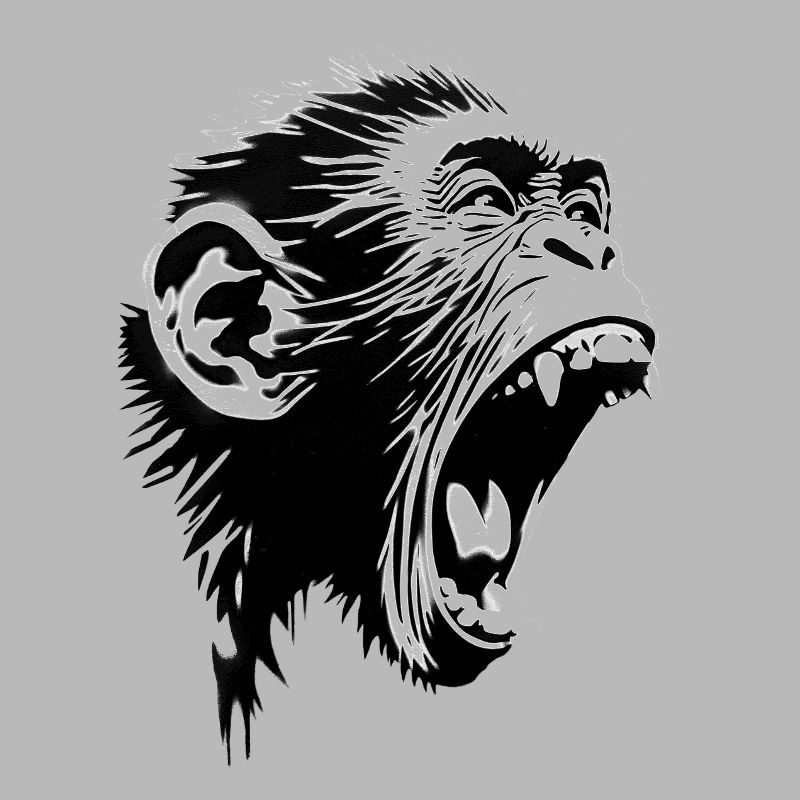 Auteur-compositeur-interprète Screaming Monkey