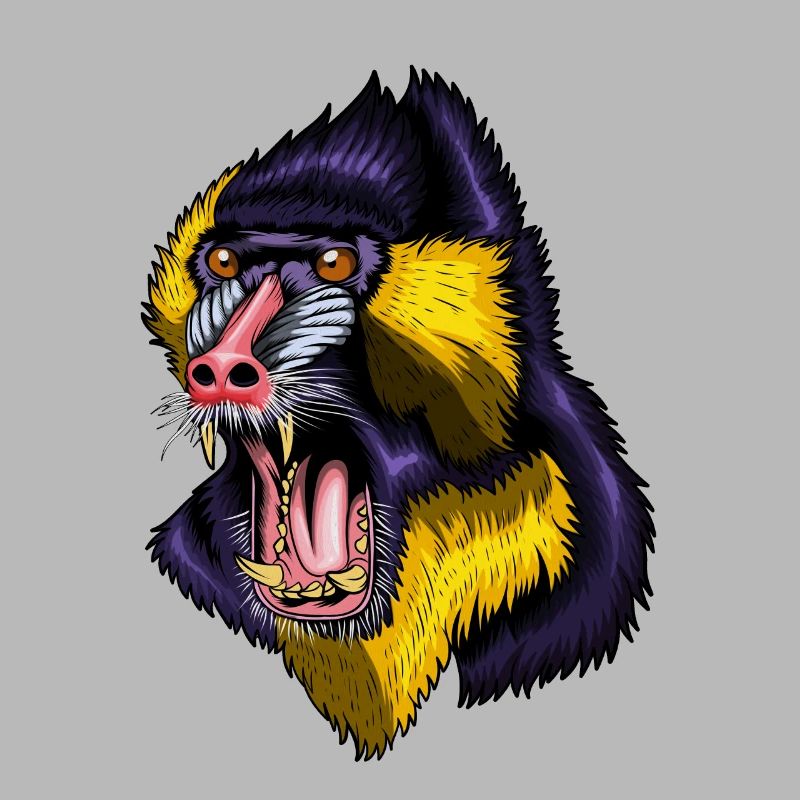 Affe Affengehege Mandrill Mandrillen Affengruppe