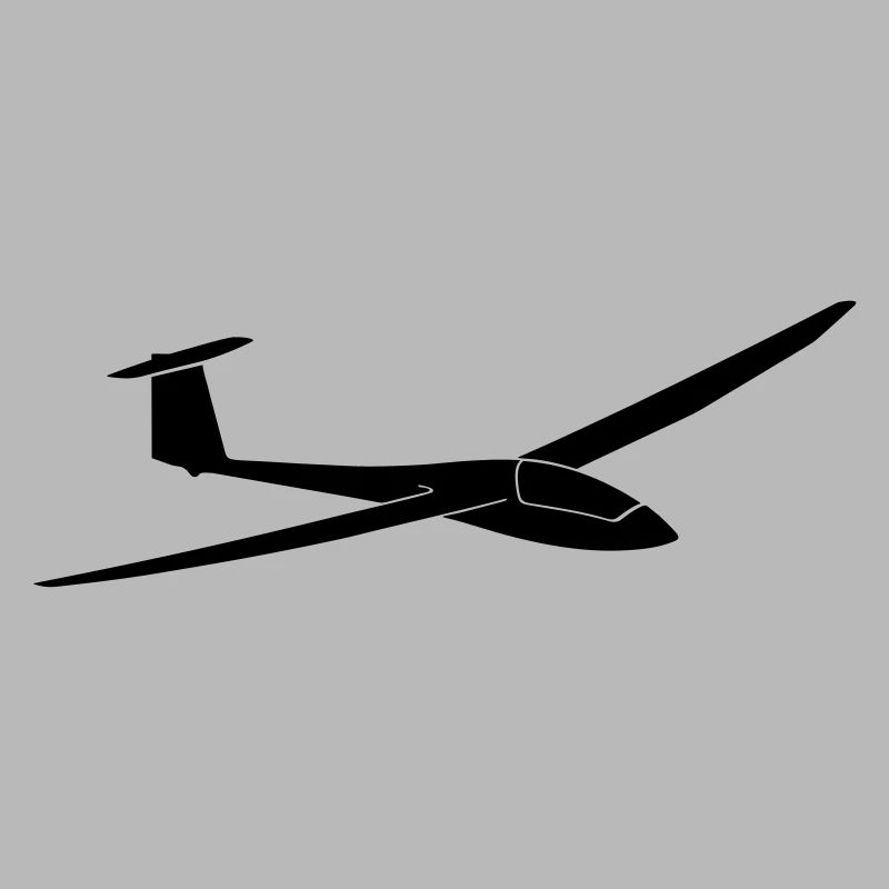 Discus b glider glider glider gliding pilot