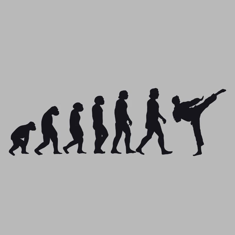 Évolution du karaté