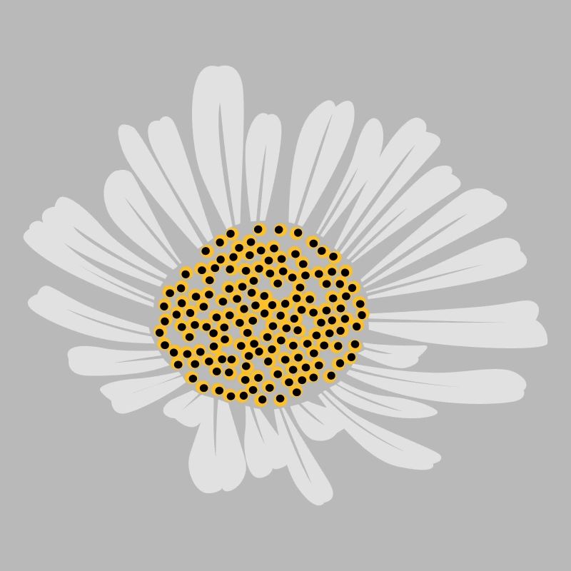 Gänseblümchen