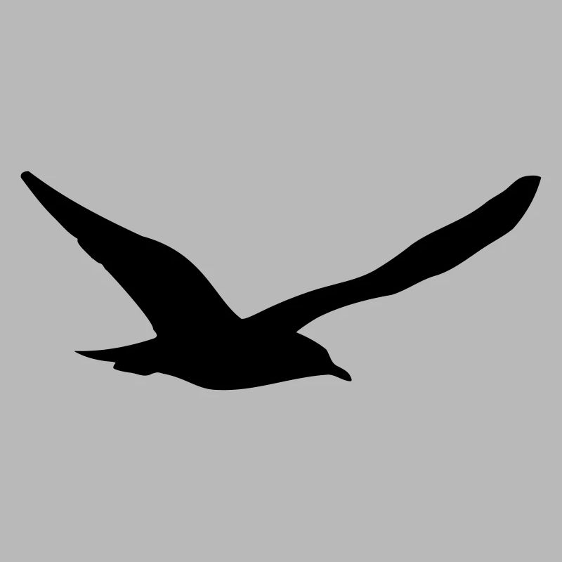 Möwe