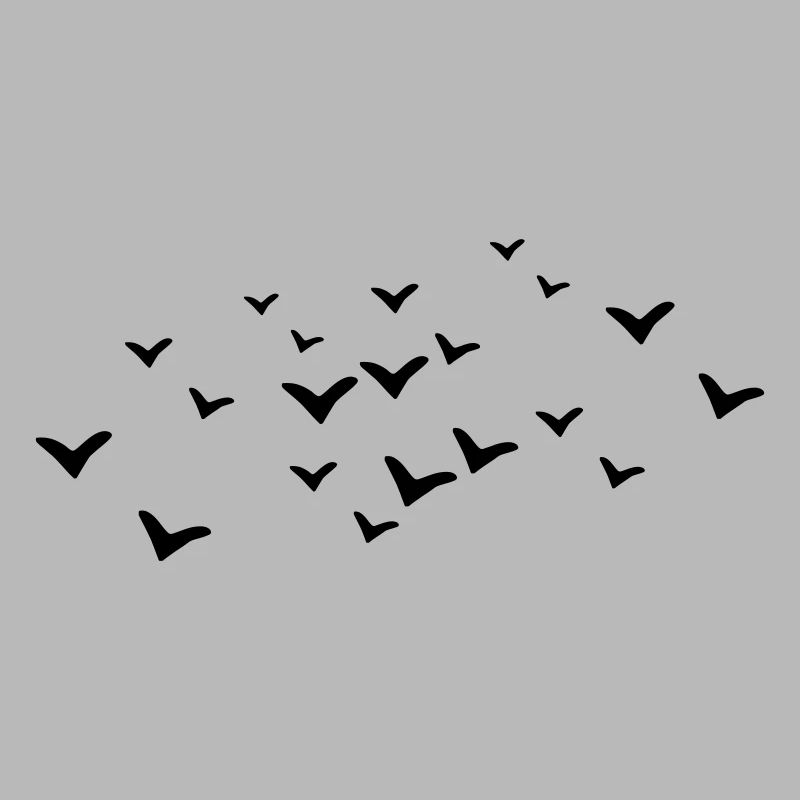 Oiseaux