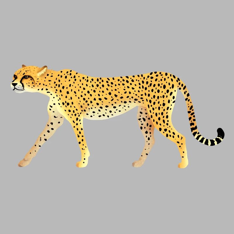 Guépard / Cheetah 01