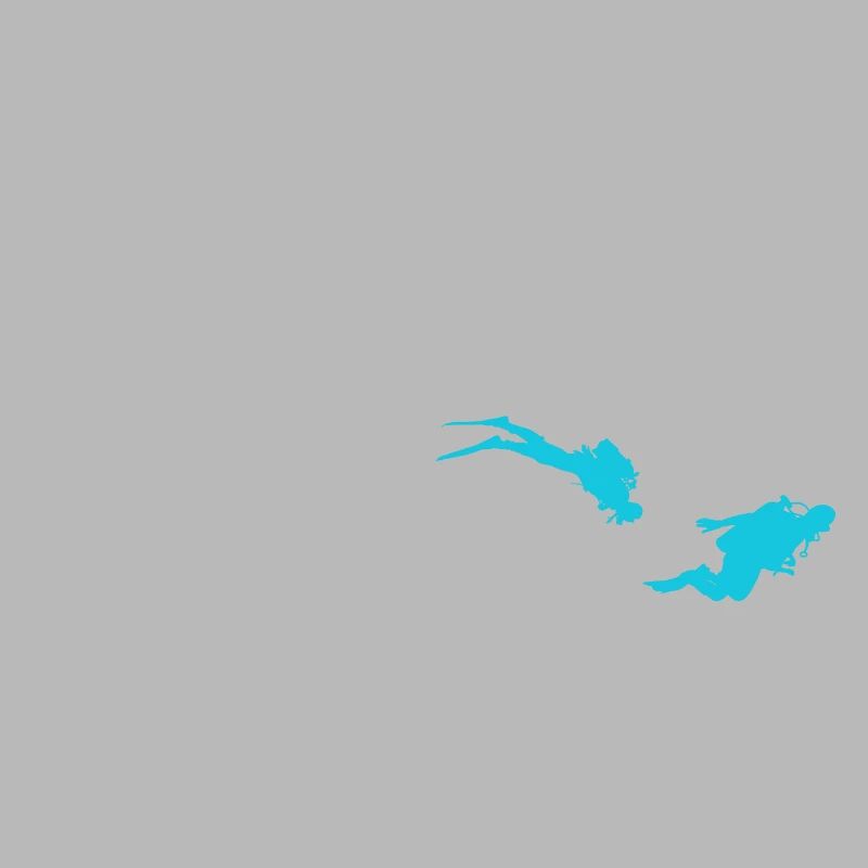 Diving Evolution Divers