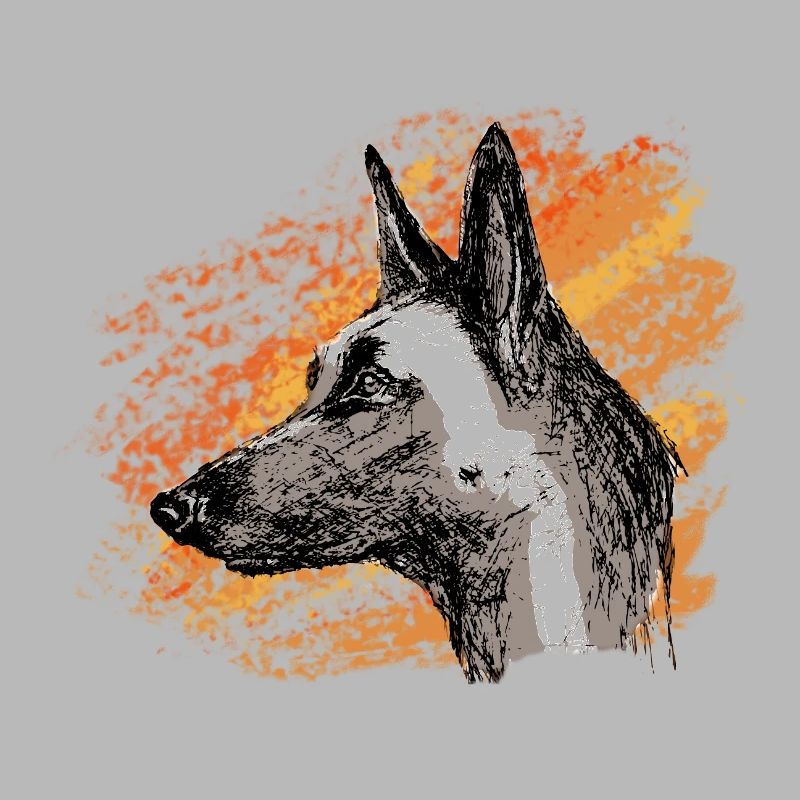 malinois de feu